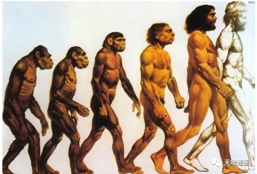 我們是北京猿人的後代嗎？我們可以從人類基因圖譜中找到答案