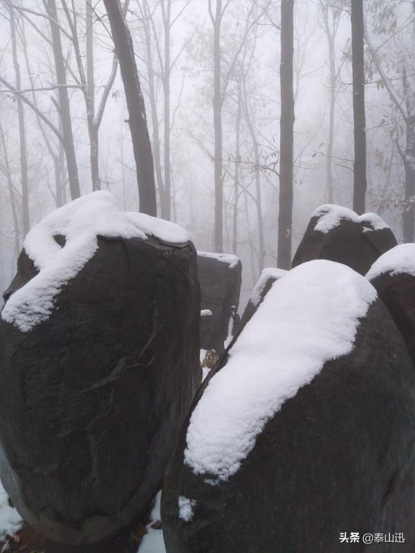 驢行泰山之初雪獨行