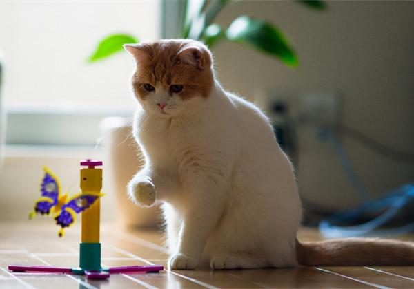 總是活在別人的“眼睛”裡的星座，活著活的就“丟了”自己