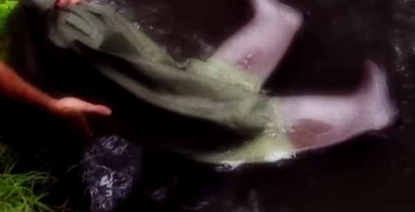 2000年,美國男子掉入湖中判定為鱷魚吞食,18年後妻子與好友被捕 2000年,美國男子掉入湖中判定為鱷魚吞食,18年後妻子與好友被捕