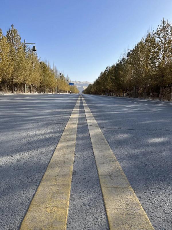 這隻小狗在敦煌，等了你整整兩年