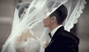 頂流的報應,從不遲到 頂流的報應,從不遲到