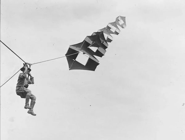 30張罕見的照片，河馬的嘴能有多大，日本廣島核彈後的慘淡