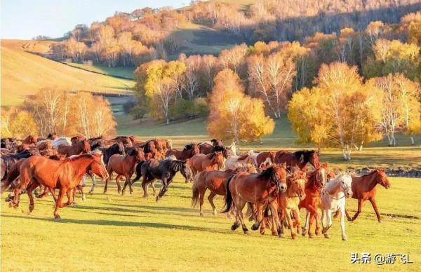請欣賞—壩上草原風光