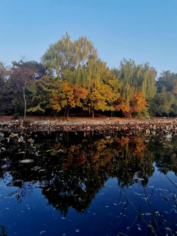 濃墨重彩的瀋陽市北陵公園最美水面倒影
