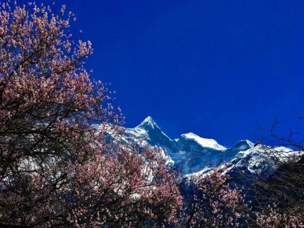 去西藏，感受最美雪山、桃花、星空、冰川...