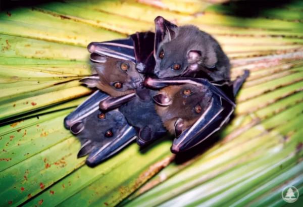香港房價,要崩? 香港房價,要崩?