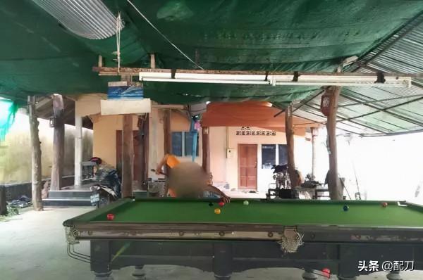 呼和浩特舊城大雜院往事(中) 呼和浩特舊城大雜院往事(中)