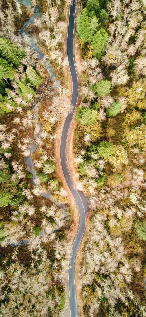 手機桌布｜公路