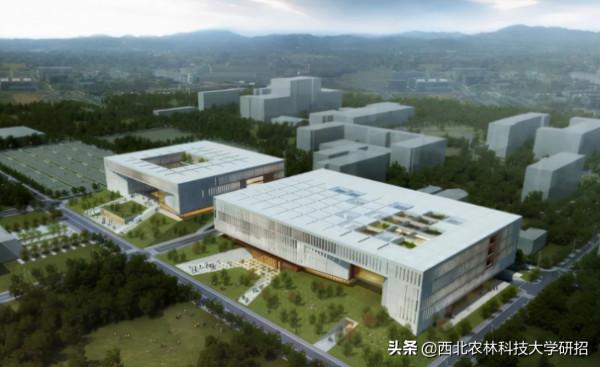 央視“點名”關注!陝西這所高校的全魚宴、巧克力饅頭饞哭網友 央視“點名”關注!陝西這所高校的全魚宴、巧克力饅頭饞哭網友