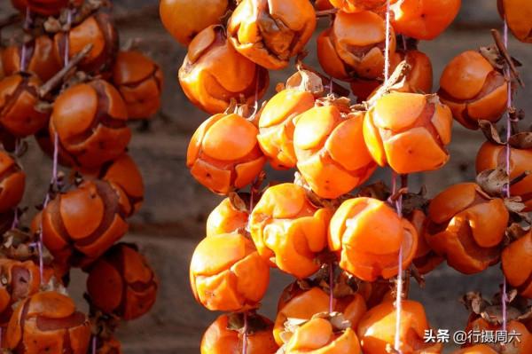 農民大爺把“柿子開花”變美味，10元1斤成搶手貨，如手提錢串串