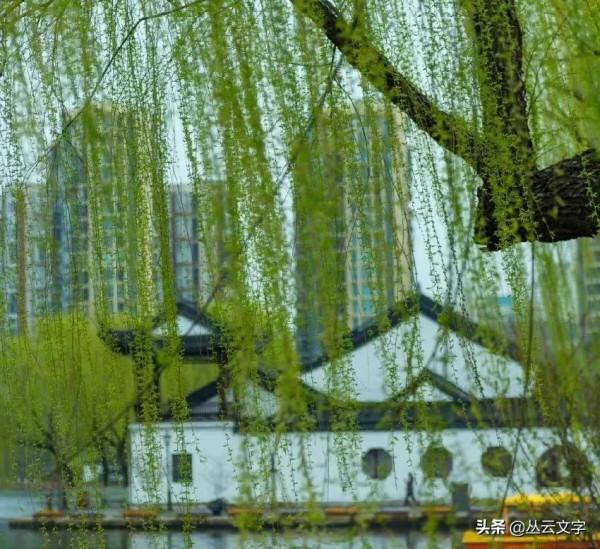 蘇東坡最為經典的50首詩詞,文彩四溢、南州冠冕 蘇東坡最為經典的50首詩詞,文彩四溢、南州冠冕