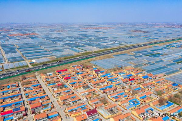 山東農業有多強?盤點山東10大特色之鄉,有你家鄉嗎? 山東農業有多強?盤點山東10大特色之鄉,有你家鄉嗎?