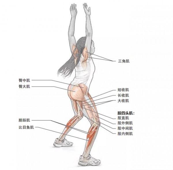 加強基礎跳躍動作,不僅可減少滯空,甚至還可以提高步頻 加強基礎跳躍動作,不僅可減少滯空,甚至還可以提高步頻
