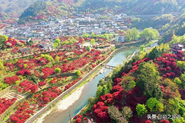 寧波的四明山心,紅楓欣賞首選地,山環水繞每年紅兩次 寧波的四明山心,紅楓欣賞首選地,山環水繞每年紅兩次