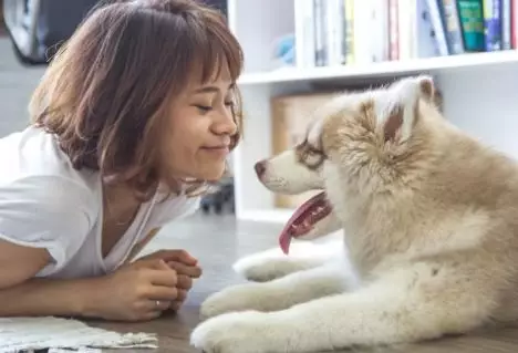 秋季來臨，鏟屎官應該這樣做