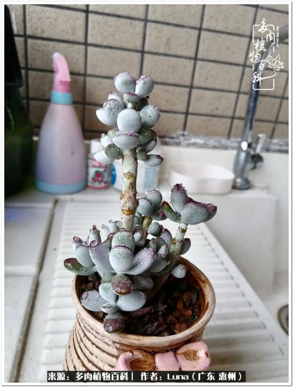 學會和解:與自己、與他人、與世界 學會和解:與自己、與他人、與世界