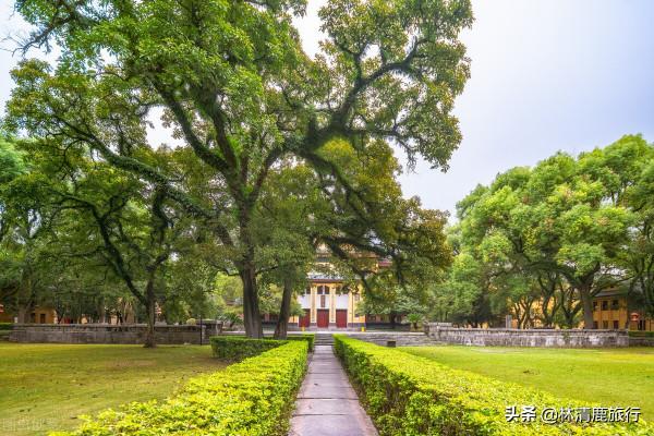 中國人的養老聖地:長壽之鄉數量全國第一,好多冷門康養城市 中國人的養老聖地:長壽之鄉數量全國第一,好多冷門康養城市
