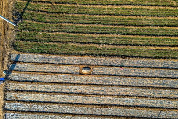 高僅0.6米的“山”，是文物保護單位，還是旅遊開發的“噱頭”？