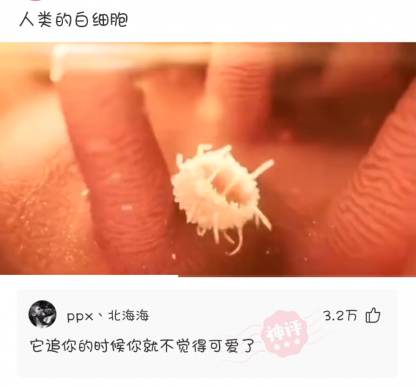 小貓咪現在不但網戀,它還舔屏!請問我該怎麼讓它打消這個念頭? 小貓咪現在不但網戀,它還舔屏!請問我該怎麼讓它打消這個念頭?