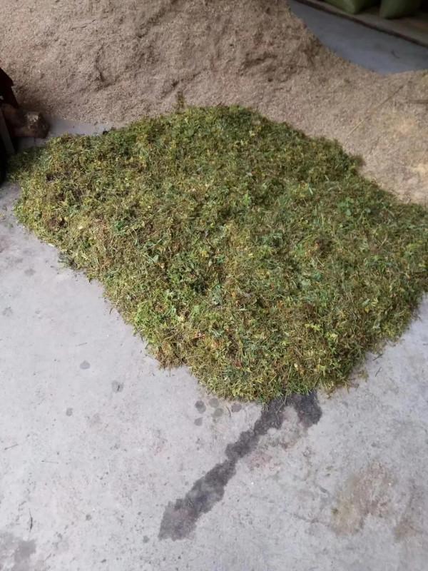 回民的養羊經值得學習