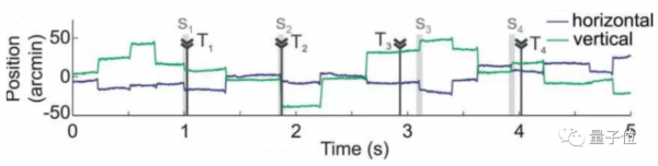 你的眼睛一天內經歷幾萬次“失明”，只是為了讓你看清世界