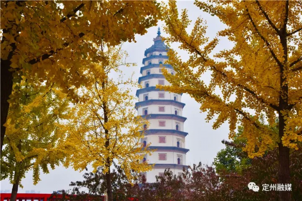 這樣的定州,也太美了吧 這樣的定州,也太美了吧