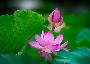 站樁100問││(體悟篇）為什麼站樁需要過五關(2）？