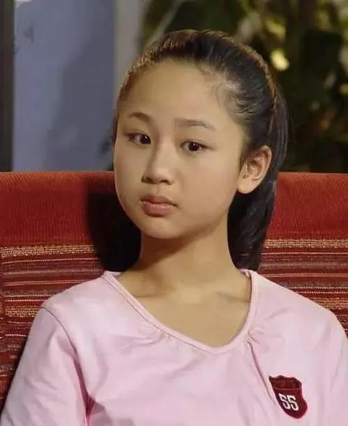 《家有兒女》主演現狀：劉星小雪成頂流明星，弟弟小雨卻無戲可拍