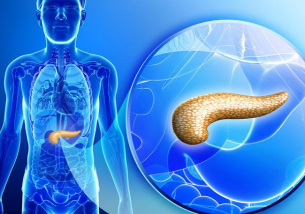 不論酒癮多大,若是得了6種病,不妨及早戒酒保護身體 不論酒癮多大,若是得了6種病,不妨及早戒酒保護身體