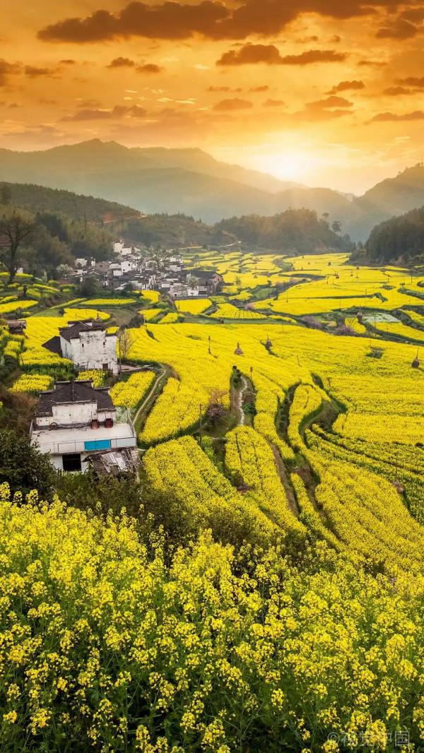 世界是一個大花園 世界是一個大花園