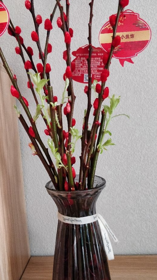 “家有銀柳,越過越有”,寓意銀兩到家,當之無愧的旺財花 “家有銀柳,越過越有”,寓意銀兩到家,當之無愧的旺財花