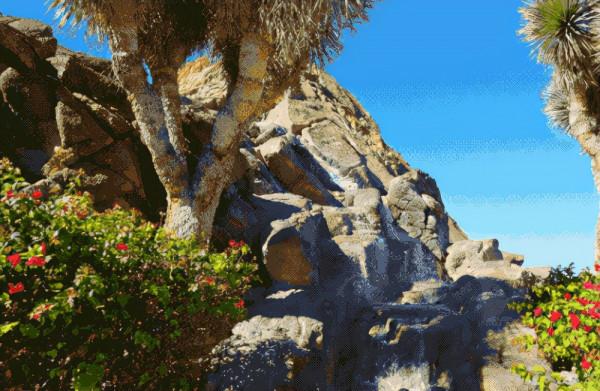 美國豪宅叫價$5000萬速賣出 位處沙漠 家中竟有水族館海底隧道