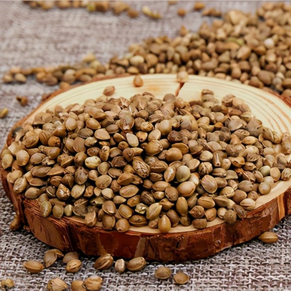 火麻子的食用“技術” 火麻子的食用“技術”