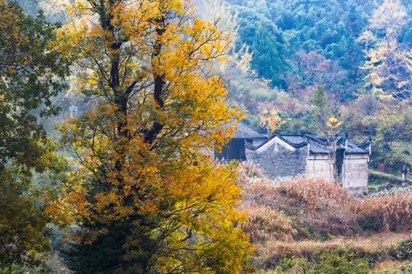 豫鄂交界深山村走出兩位開國將軍，濃濃秋色中掩藏很多感人的故事