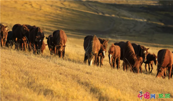 在怪山體驗,秋天的正確開啟方式 在怪山體驗,秋天的正確開啟方式