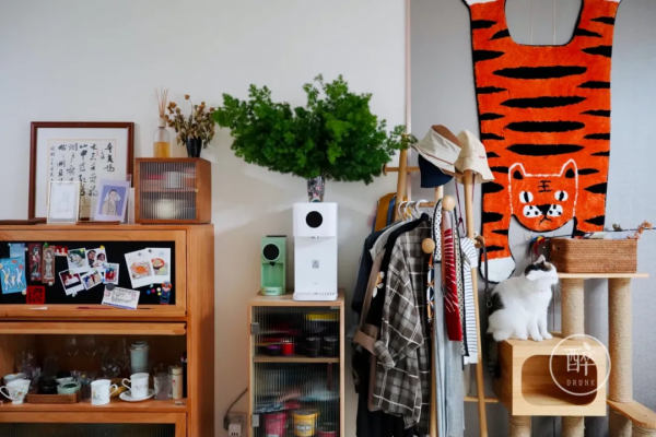 1小時飛攏的城市,有全國最好逛的市場 1小時飛攏的城市,有全國最好逛的市場