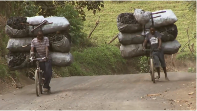 非洲人為了賺錢有多拼？腳踏車載800斤木炭，看著都害怕