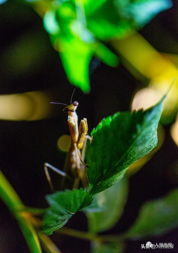 這是你不知道的高黎貢山 這是你不知道的高黎貢山