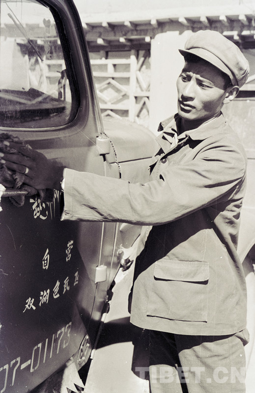 留在心中的故事:汽車、牛羊交響曲 留在心中的故事:汽車、牛羊交響曲