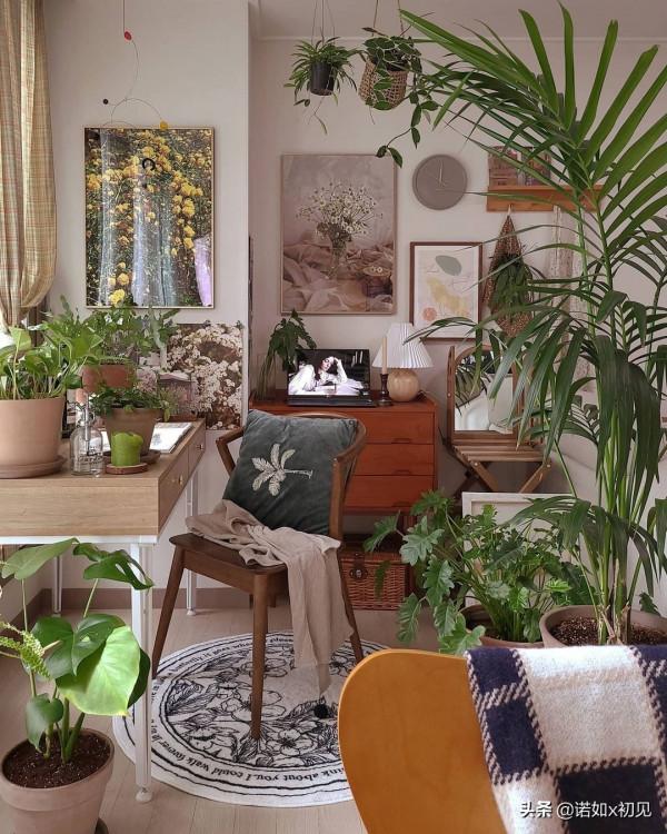 家裡藏著小森林綠植控的家，清新太治癒了