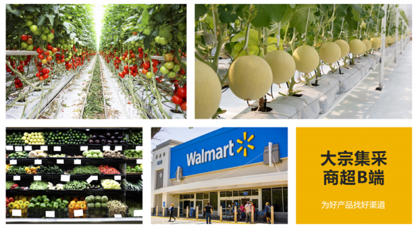 農鏈易購：基於區塊鏈，打造真實可溯質量保障的農業電商示範平臺