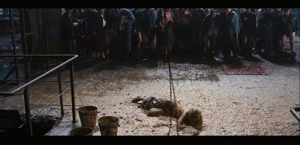 黑皮書圖說完結篇