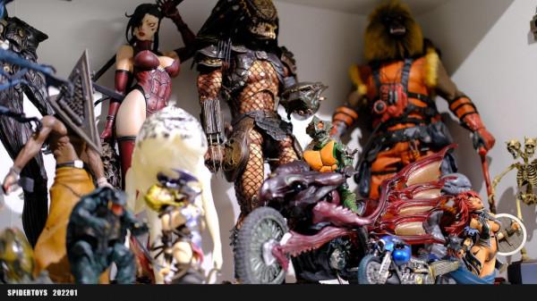 除了錢以外，玩具收藏愛好者們面臨最大的問題是什麼？