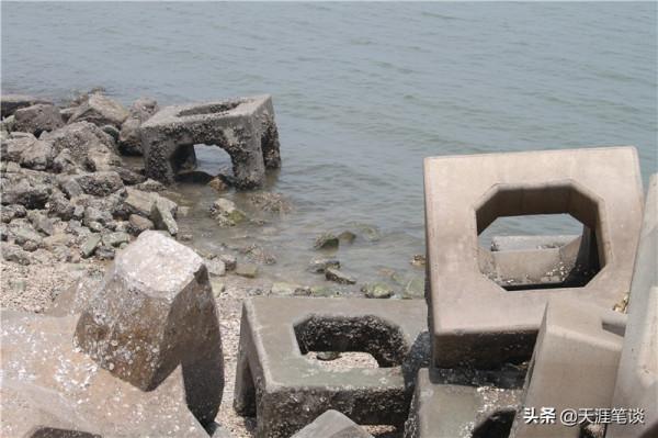 塘沽免費公園值得遊，順其自然地體驗，領略不一樣風景