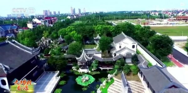 走進鄉村看小康｜江蘇如皋顧莊村：盆景長出“搖錢樹”花木帶來致富路