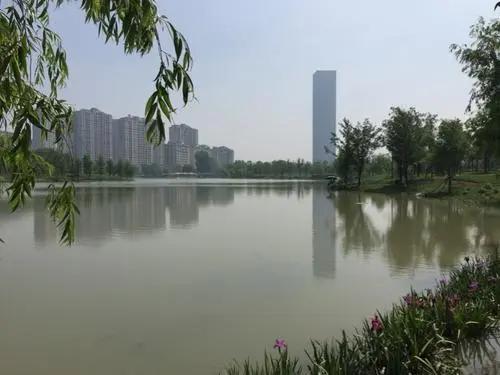 消失的蘇南第二大湖…芙蓉湖