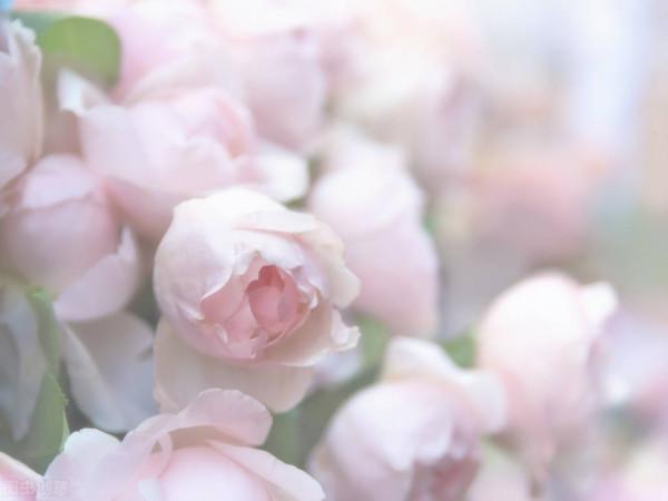 別走太快，等一等靈魂