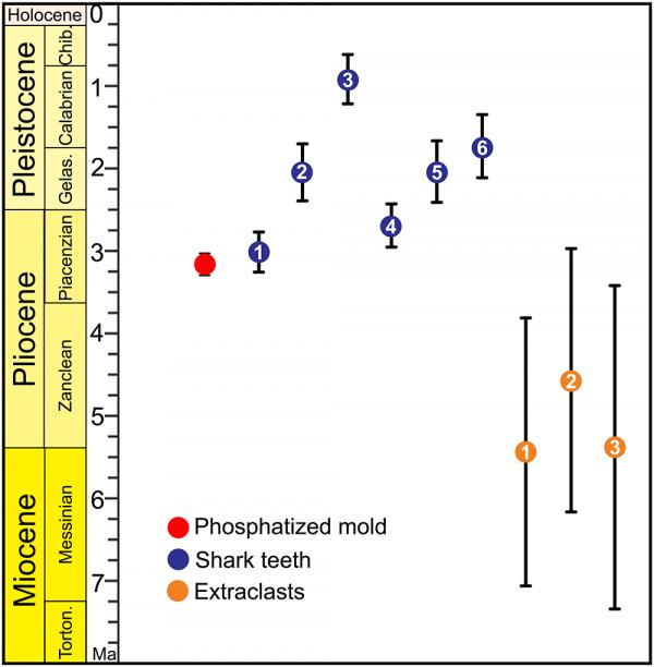 首次對軟組織化石進行U-Pb定年——古生物定年的新方法