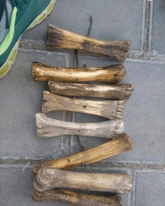 1950年,一個叫廖永和的奴隸找到解放軍,表明身份後驚動軍區領導 1950年,一個叫廖永和的奴隸找到解放軍,表明身份後驚動軍區領導